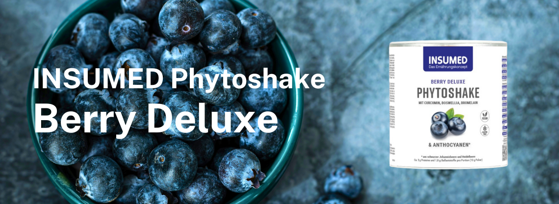 Phytoshake Berry Banner