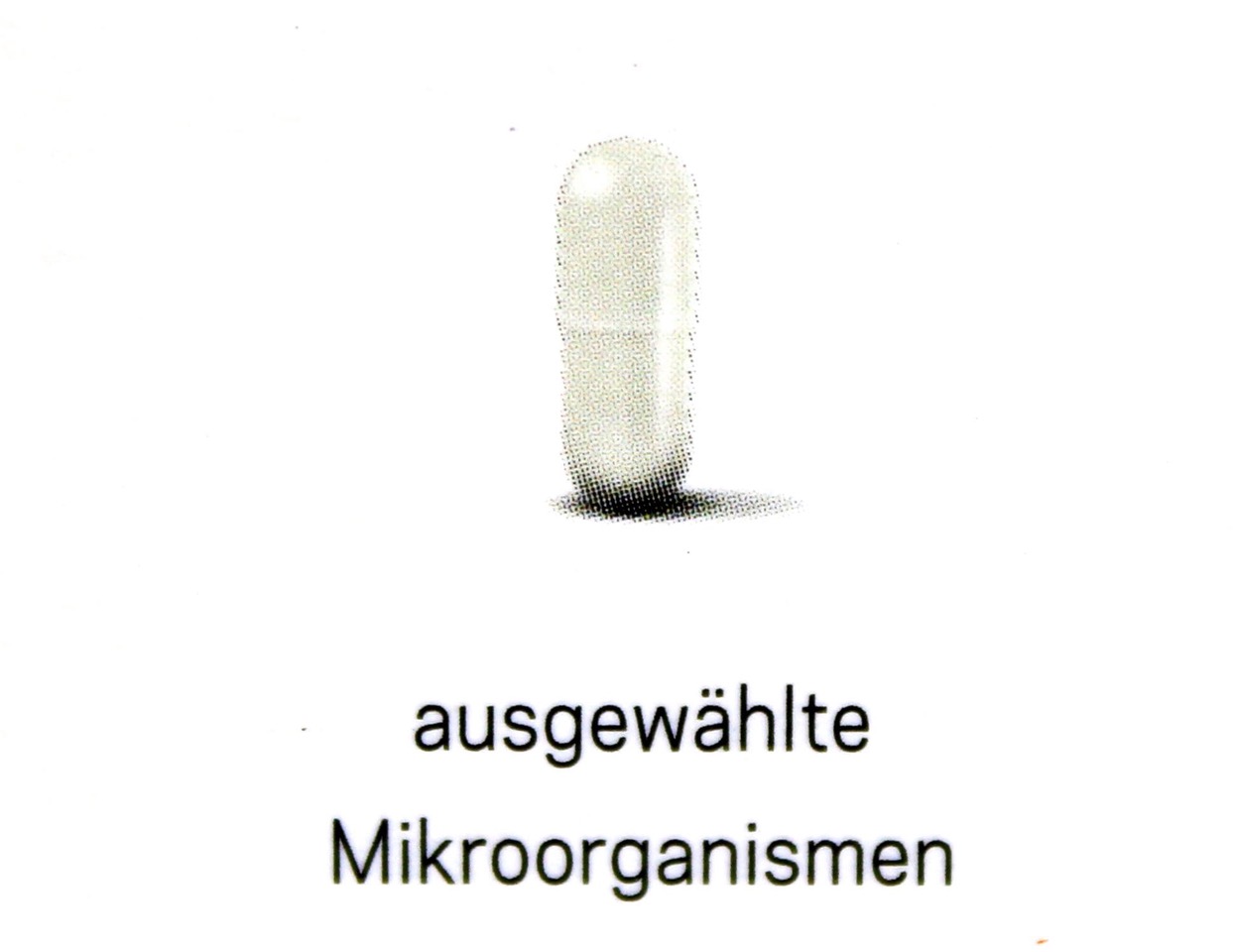 Mirkoorganismen